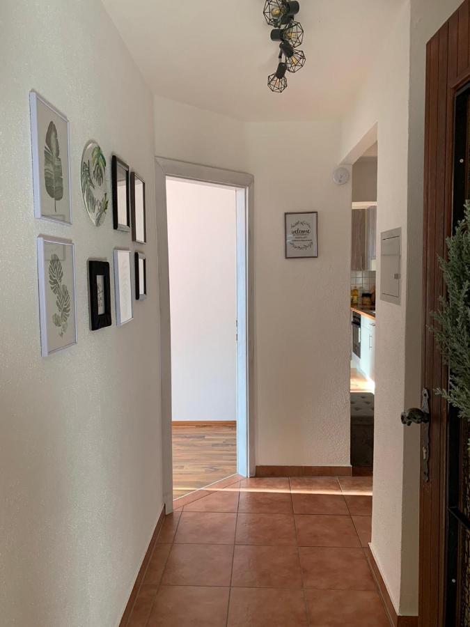 M'S Wood Appartement Maishofen Exterior foto