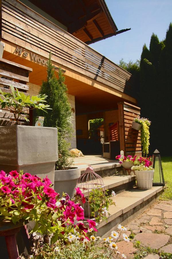 M'S Wood Appartement Maishofen Exterior foto
